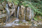 2009-09-15_16-09-59_DSC_9029.jpg