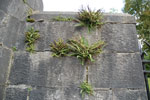 2009-09-15_17-27-54_DSC_9053.jpg