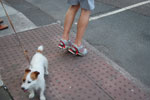 2009-09-15_17-51-28_DSC_9068.jpg