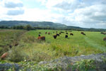 2009-09-16_14-53-22_DSC_9075.jpg