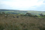 2009-09-16_15-11-01_DSC_9078.jpg