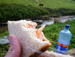 2009-09-16_17-26-54_IMGP0005.jpg