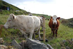2009-09-16_17-38-17_DSC_9090.jpg