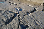 2009-09-16_18-19-08_DSC_9241.jpg