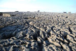2009-09-16_18-21-45_DSC_9249.jpg
