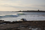 2009-09-16_18-33-55_DSC_9270.jpg
