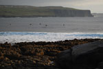 2009-09-16_18-39-26_DSC_9300.jpg