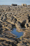 2009-09-16_18-39-42_DSC_9302.jpg