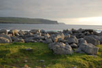 2009-09-16_18-52-42_DSC_9343.jpg