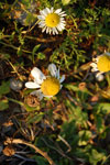2009-09-16_18-53-03_DSC_9344.jpg