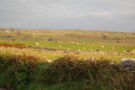 2009-09-16_19-09-19_DSC_9361.jpg
