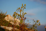 2009-09-16_19-12-06_DSC_9369.jpg