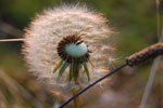 2009-09-16_19-33-39_DSC_9417.jpg