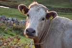 2009-09-16_19-35-31_DSC_9424.jpg