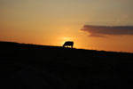 2009-09-16_19-38-20_DSC_9432.jpg