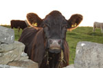 2009-09-16_19-39-16_DSC_9439.jpg
