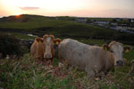 2009-09-16_19-47-25_DSC_9457.jpg