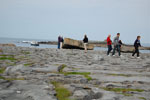 2009-09-17_11-36-45_DSC_9464.jpg
