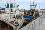 2009-09-17_13-47-34_DSC_9500.jpg