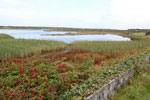 2009-09-17_14-09-10_DSC_9518.jpg