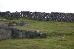 2009-09-17_14-23-02_DSC_9533.jpg