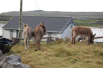 2009-09-17_14-25-48_DSC_9539.jpg
