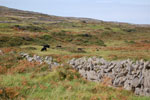 2009-09-17_14-40-39_DSC_9563.jpg