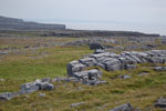 2009-09-17_14-42-51_DSC_9567.jpg