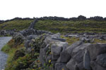 2009-09-17_14-43-07_DSC_9568.jpg