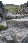2009-09-17_14-44-01_DSC_9570.jpg