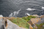 2009-09-17_14-49-21_DSC_9583.jpg