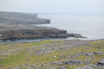 2009-09-17_15-00-00_DSC_9616.jpg