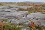 2009-09-17_15-05-57_DSC_9622.jpg