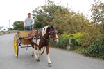 2009-09-17_15-41-33_DSC_9656.jpg