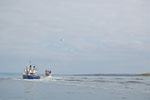 2009-09-17_16-10-36_DSC_9673.jpg