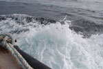 2009-09-17_16-14-25_DSC_9674.jpg