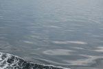 2009-09-17_16-25-59_DSC_9679.jpg