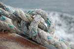 2009-09-17_16-32-59_DSC_9686.jpg