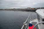2009-09-17_17-21-18_DSC_9700.jpg
