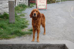 2009-09-17_17-50-42_DSC_9716.jpg