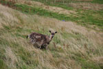 2009-09-18_09-09-14_DSC_9758.jpg