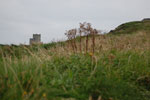 2009-09-18_09-13-06_DSC_9772.jpg