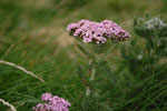 2009-09-18_09-27-24_DSC_9794.jpg
