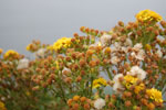2009-09-18_09-28-18_DSC_9798.jpg