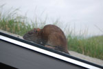 2009-09-18_10-00-19_DSC_9841.jpg