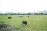 2009-09-18_14-25-29_DSC_9868.jpg