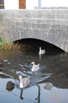 2009-09-19_19-32-09_DSC_9985.jpg