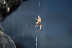 2009-09-19_19-49-29_DSC_0025.jpg