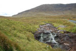 2009-09-20_11-17-19_DSC_0051.jpg