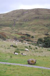 2009-09-20_12-04-37_DSC_0069.jpg